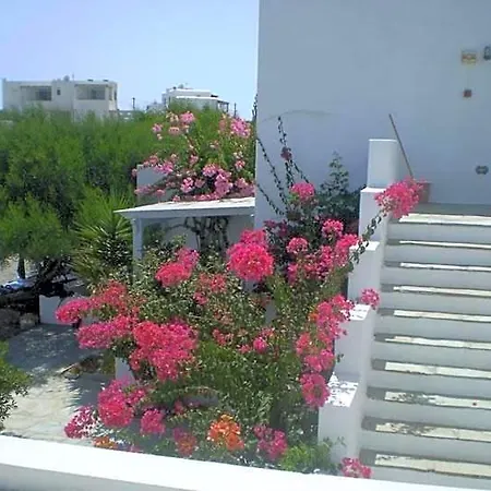 Hotel Kolona